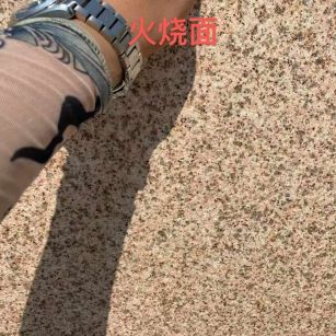 榆林黄金麻火烧面