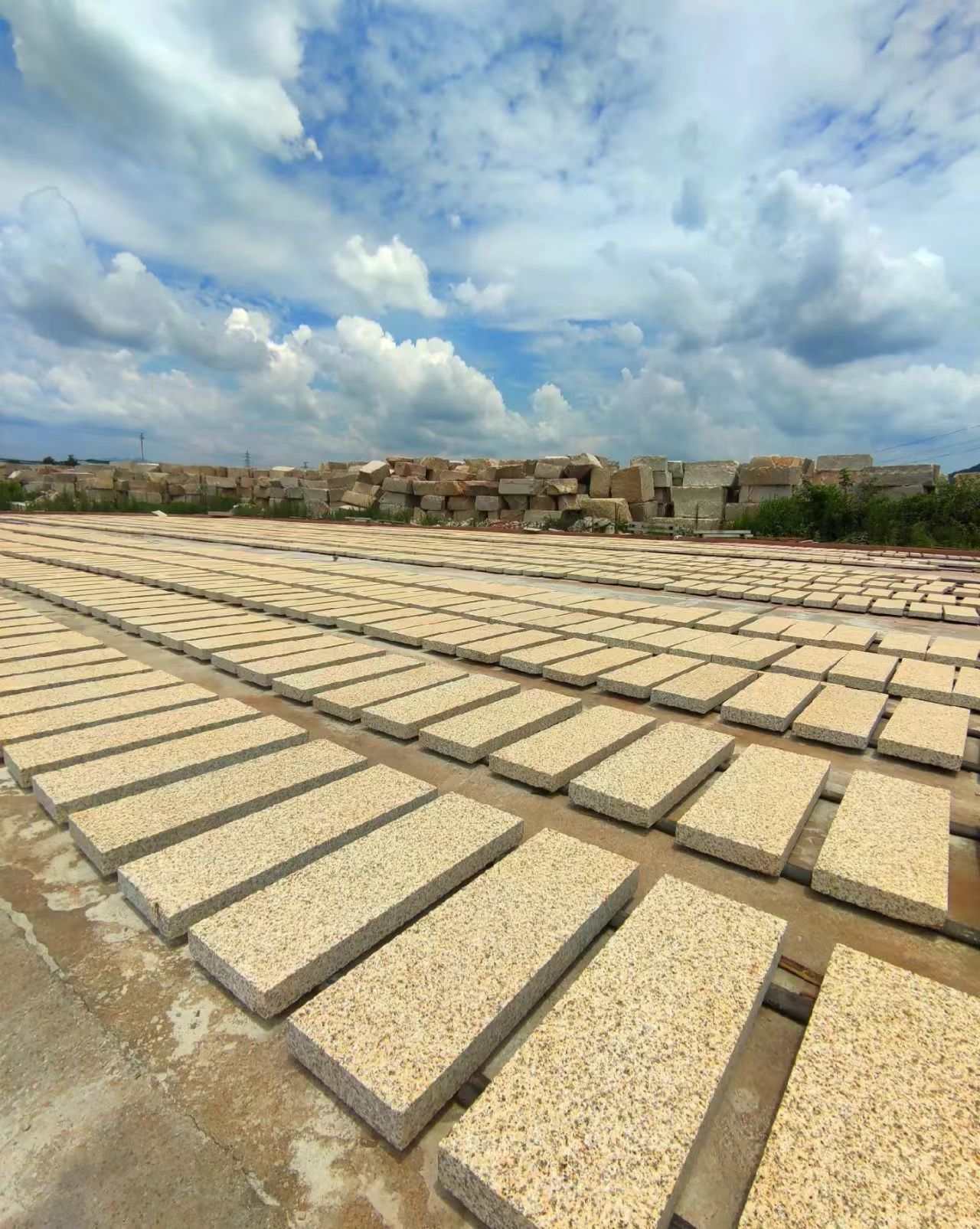 榆林 黄金麻花岗岩荔枝面地铺石防护中